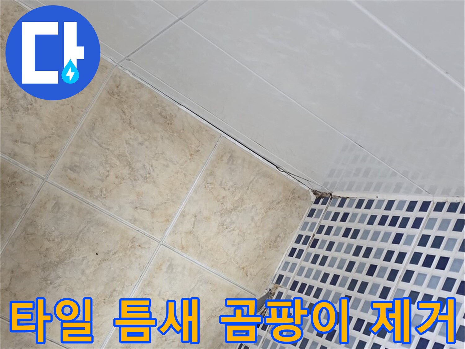 묵동 욕실 바닥 타일 틈새 누수 - 곰팡이 제거 후 방수 코팅 및 실리콘 재시공