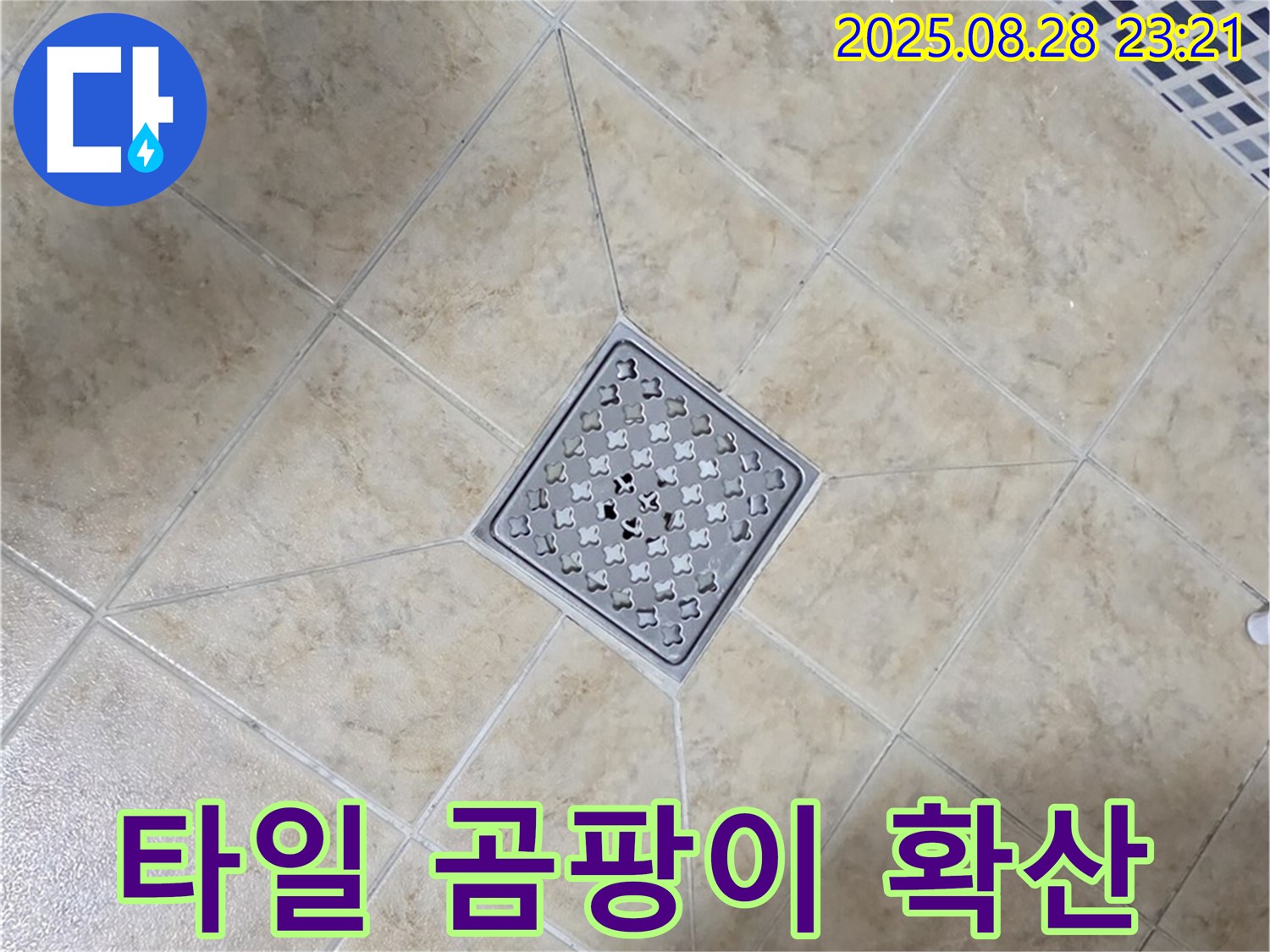 배수구 주변 곰팡이 냄새 확산 - 제거 및 소독