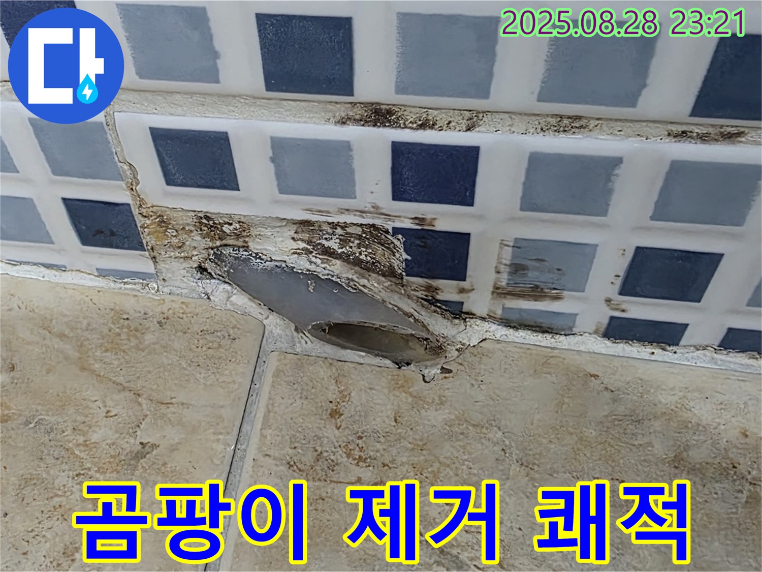배수구 주변 곰팡이 제거 - 쾌적한 환경