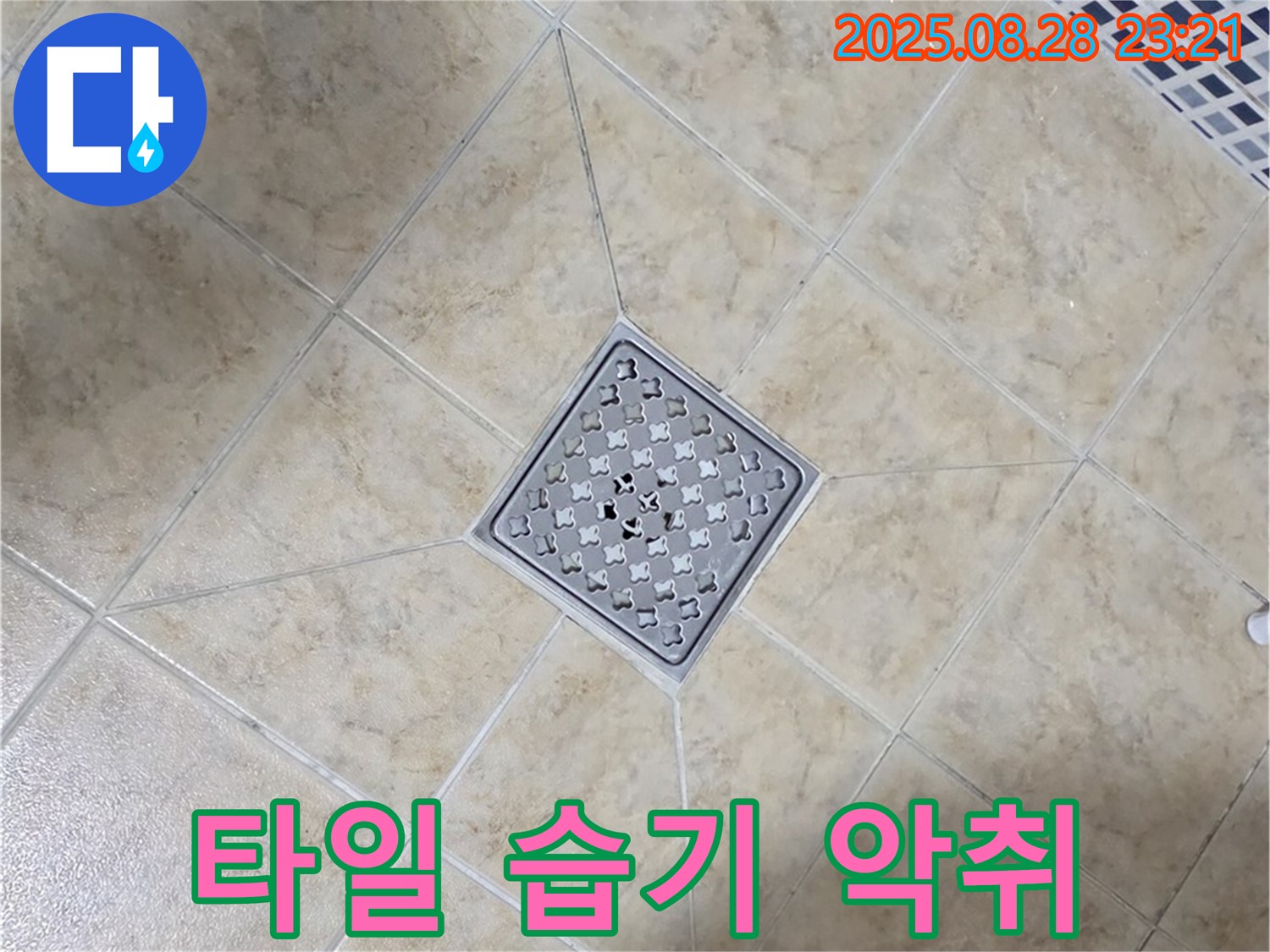 배수구 주변 습기 곰팡이 악취 - 환기 개선 및 복합 제거