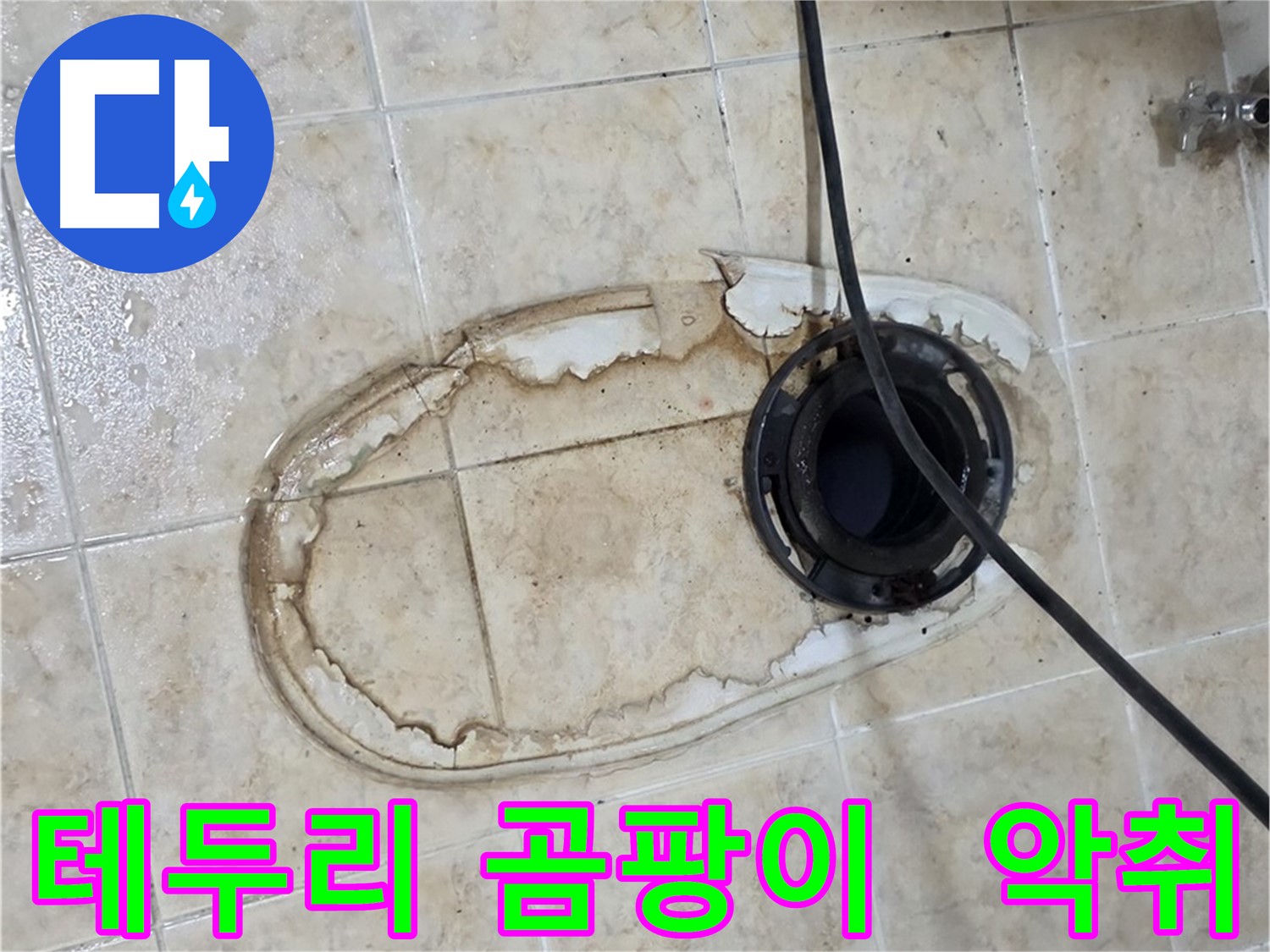 변기 누수 - 테두리 곰팡이 - 악취