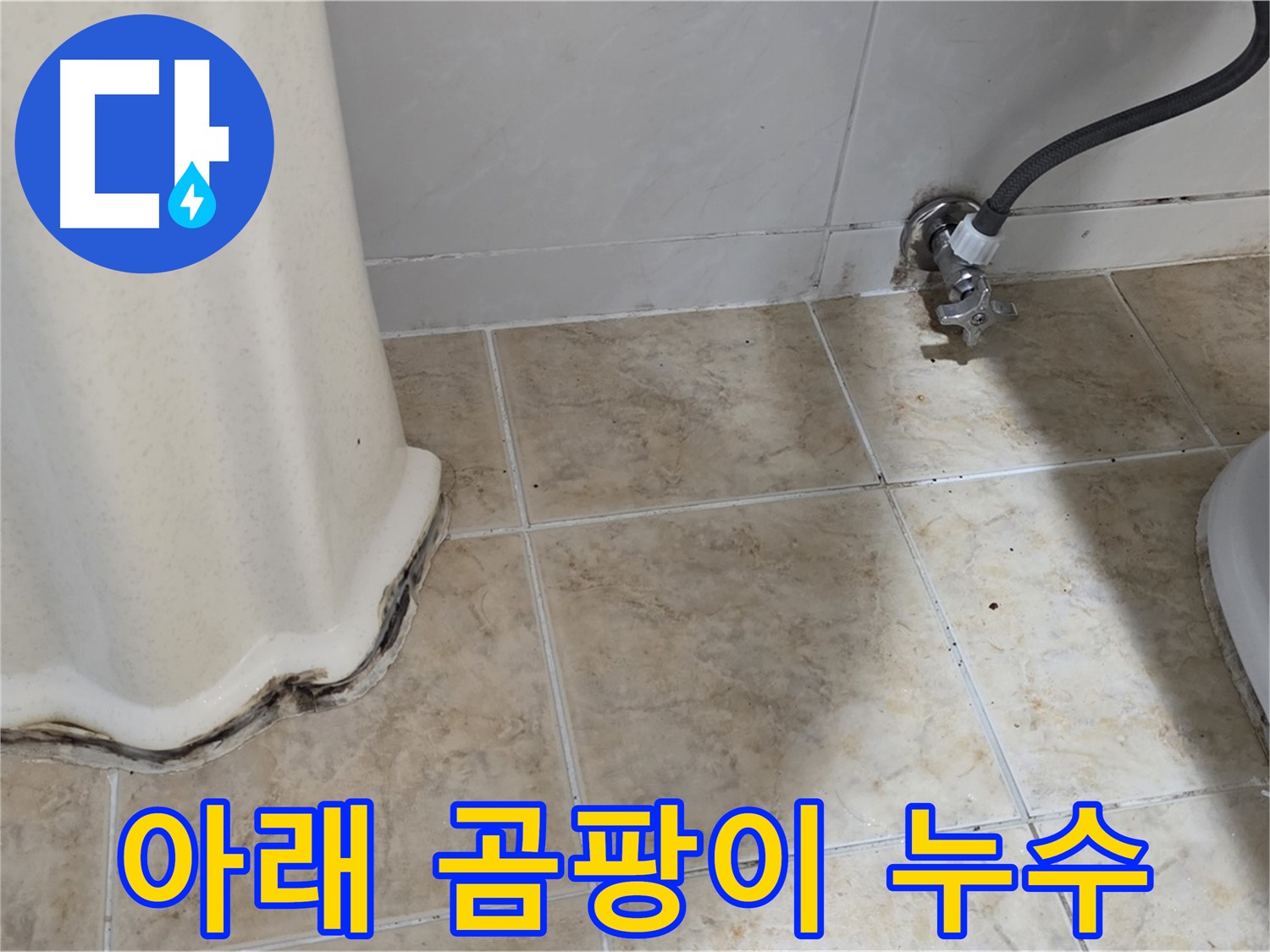 세면대 아래 곰팡이 - 건강 위협 - 곰팡이 제거 필수