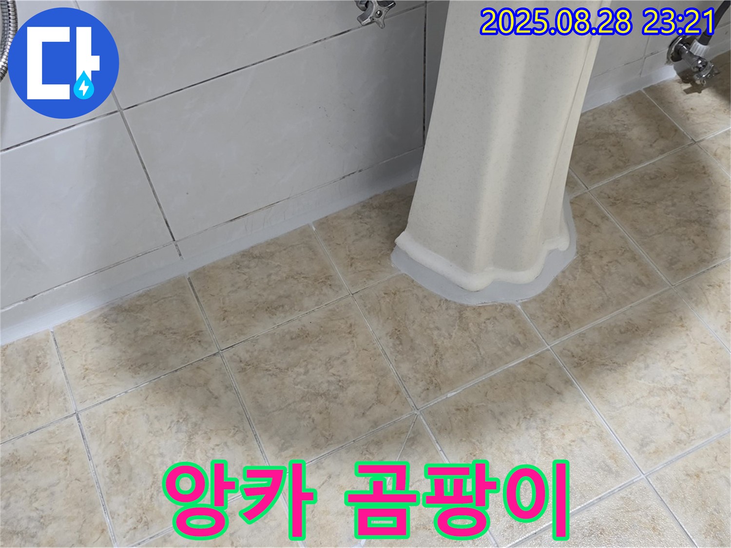 세면대 앙카 주변 곰팡이 - 누수 가능성 점검 및 곰팡이 제거