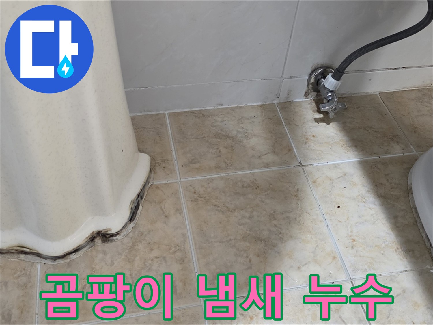 세면대 주변 곰팡이 냄새 - 탁한 공기 - 냄새 제거 전문가