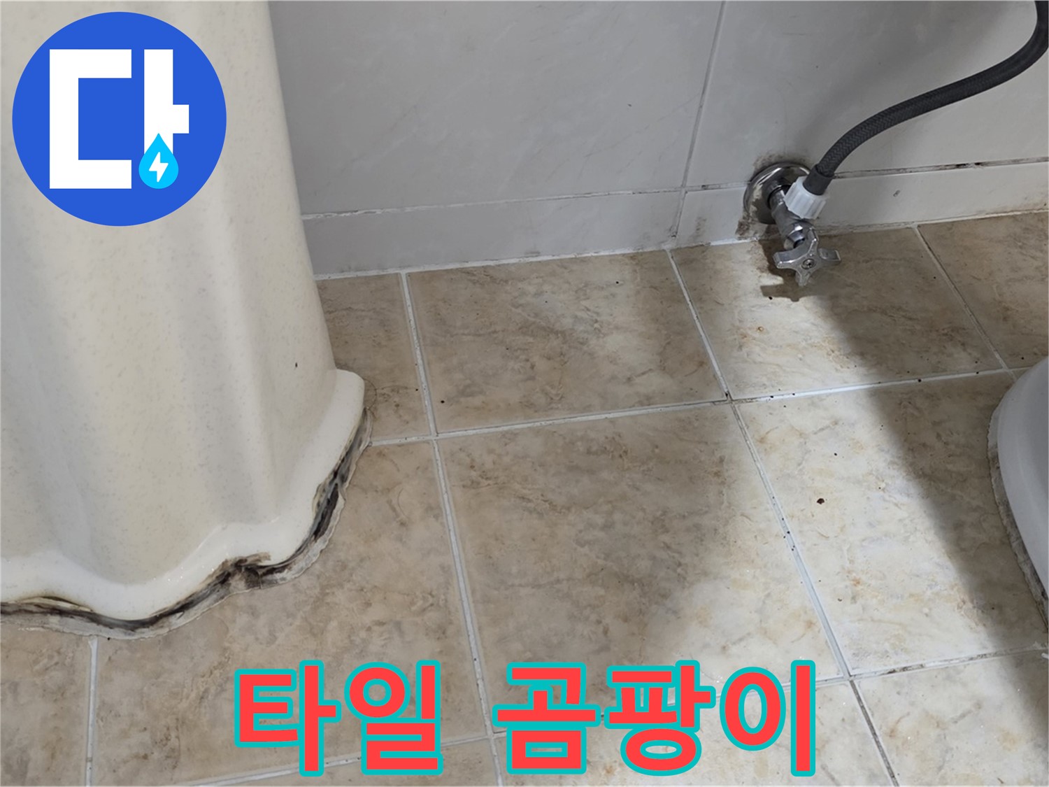 세면대 주변 타일 곰팡이 - 쾌적한 욕실 방해 - 곰팡이 제거 전문가