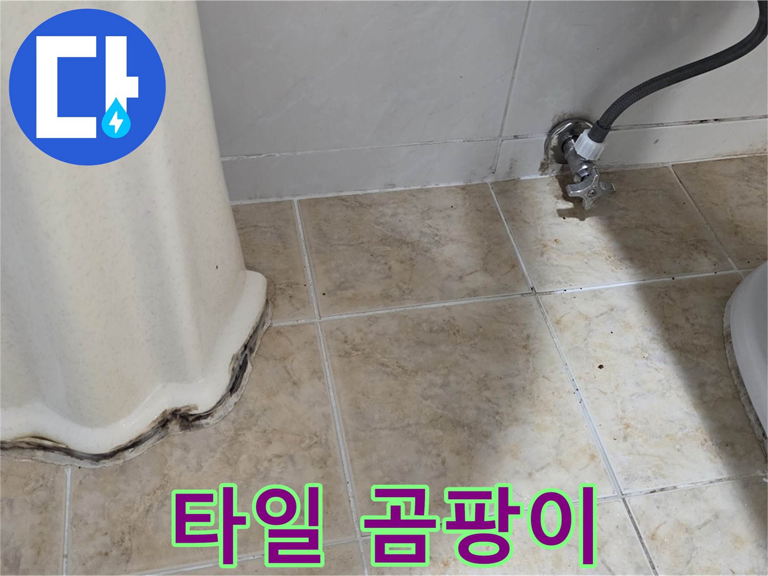 세면대 주변 타일 곰팡이 - 쾌적한 욕실을 방해해요 - 곰팡이 제거 전문가