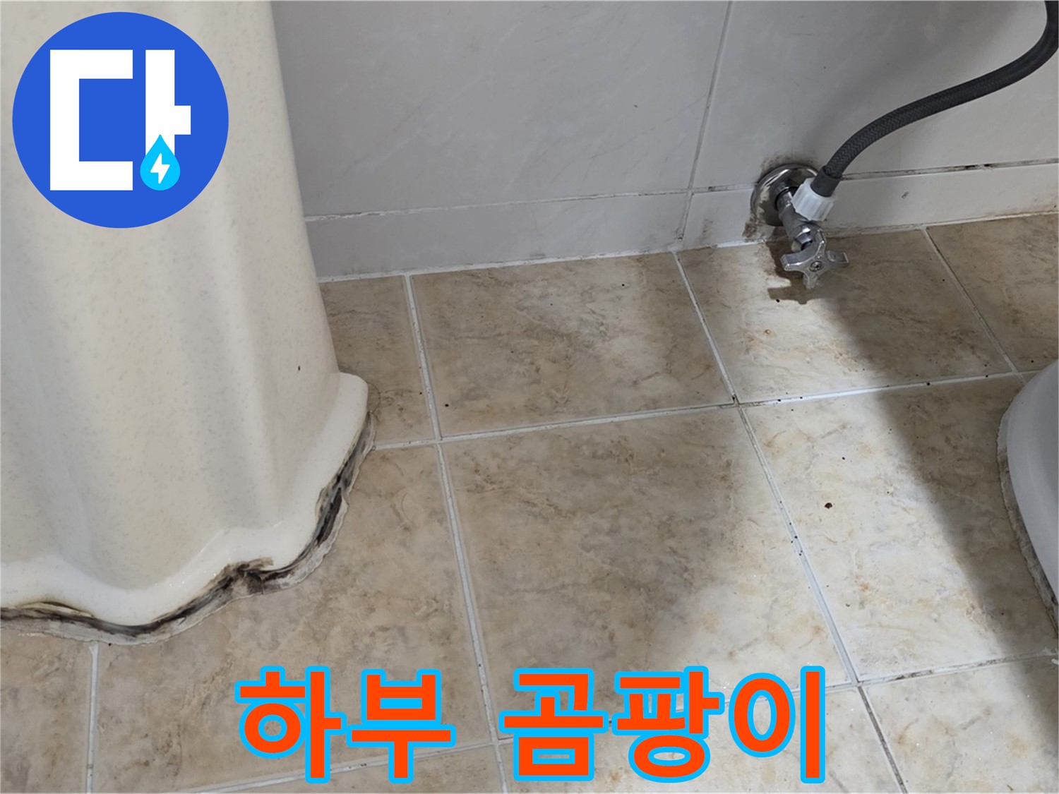 세면대 하부 곰팡이 - 건강을 위협하는 곰팡이 - 곰팡이 제거 전문가.