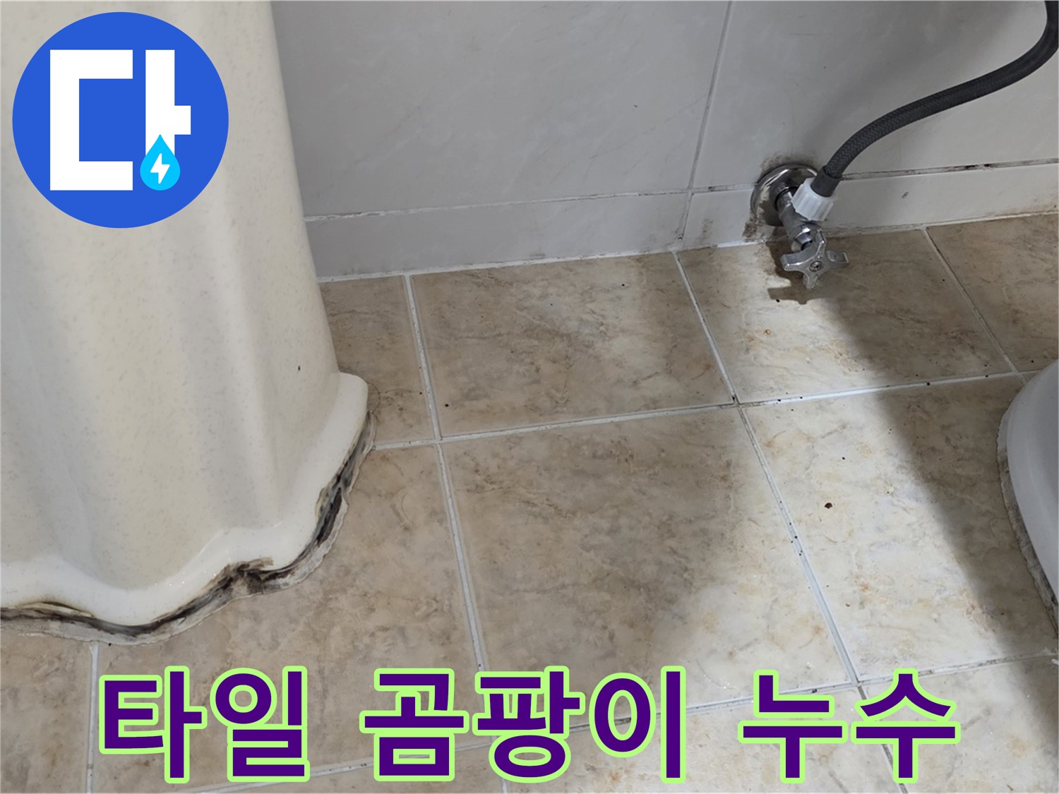 세면대 하부 타일 곰팡이 - 위생 위협 - 곰팡이 제거 필수
