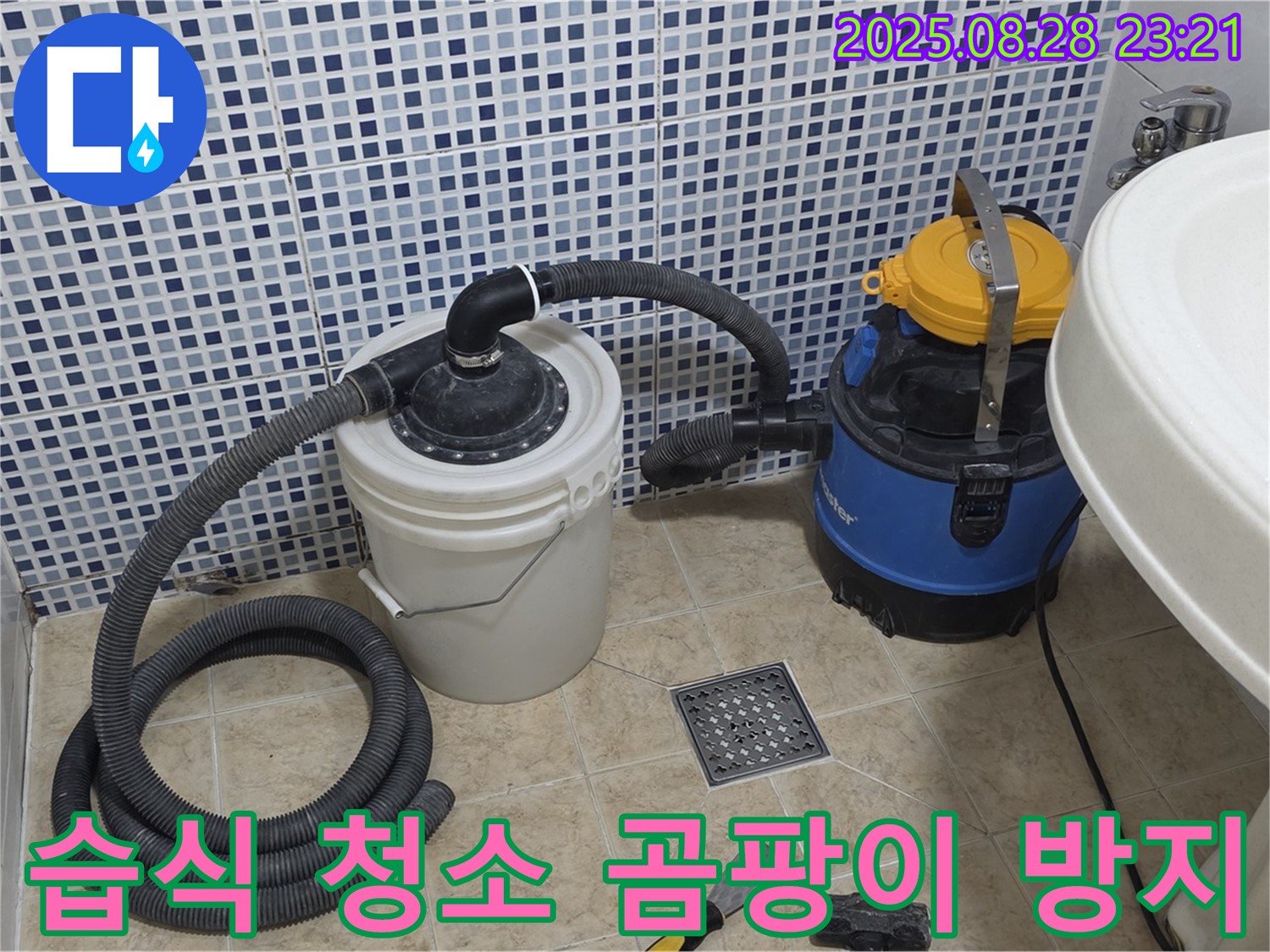 습식 청소기로 쾌적하게 - 곰팡이 걱정 없는 묵동 누수 해결
