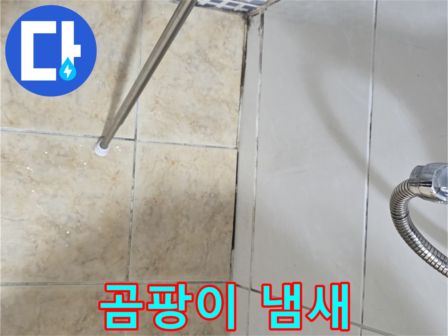 욕실 곰팡이 냄새 - 곰팡이 제거 후 - 냄새 지속 - 누수 의심