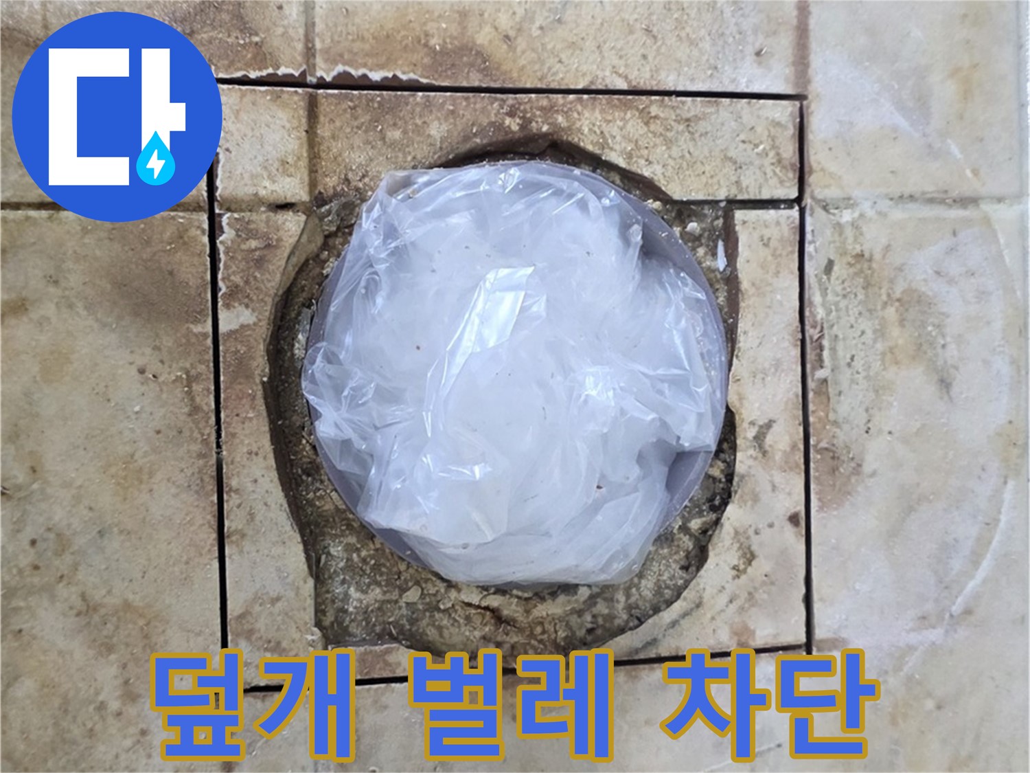 욕실 배수구 임시 덮개 - 벌레 차단