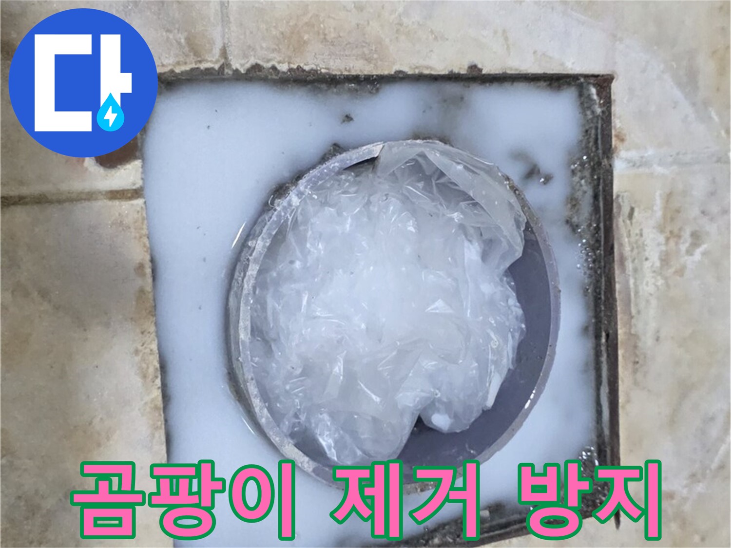 욕실 배수구 - 주변 곰팡이 발생 곰팡이 제거 및 방지