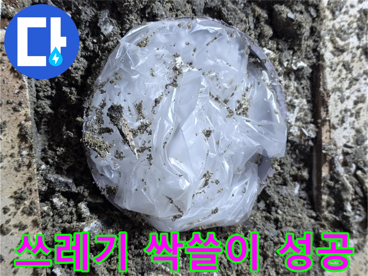 중랑구 묵동 쓰레기 싹쓸이 - 작전 성공!