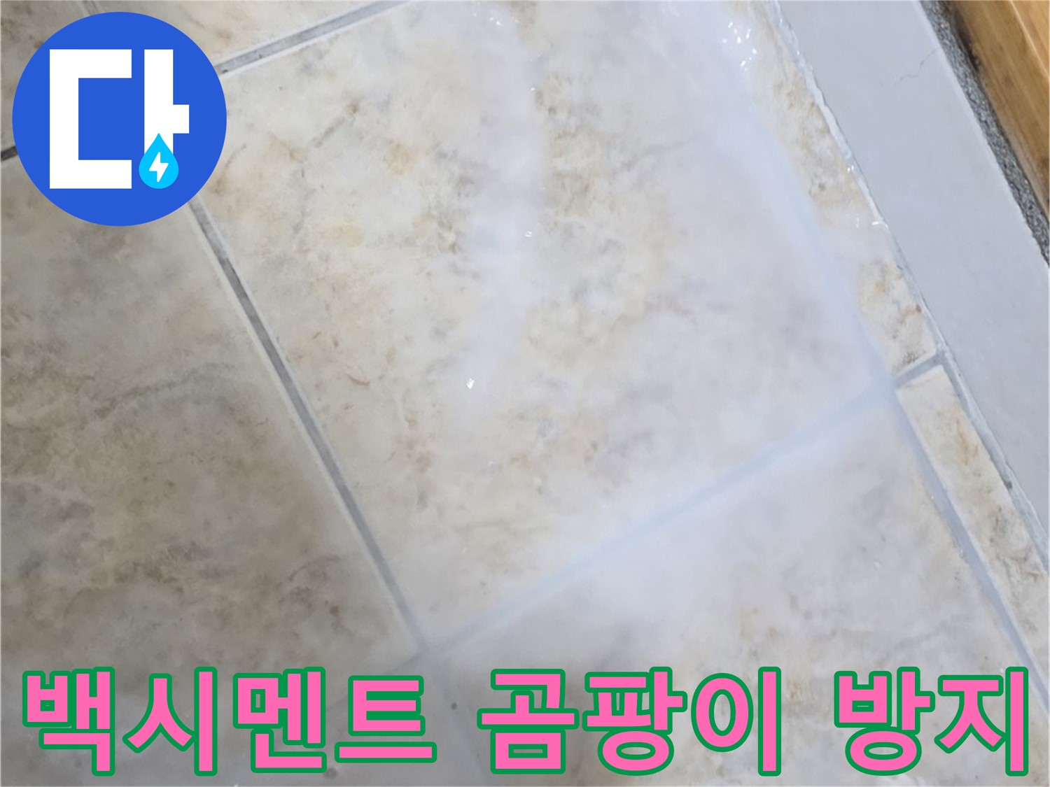 타일 틈새 백시멘트 - 곰팡이 방지 시공으로 - 누수 해결