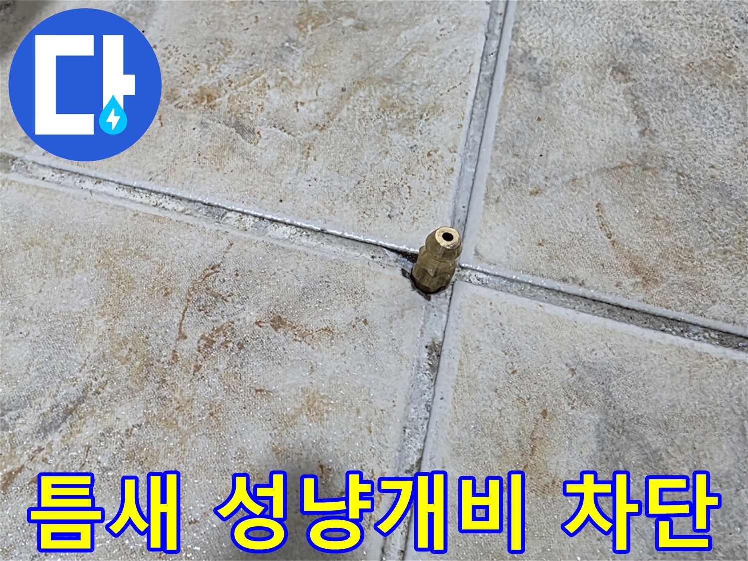 틈새 성냥개비 차단 - 타일 틈새에 꽂힌 성냥개비, 중랑구 누수 완벽 차단 시공으로 해결합니다.