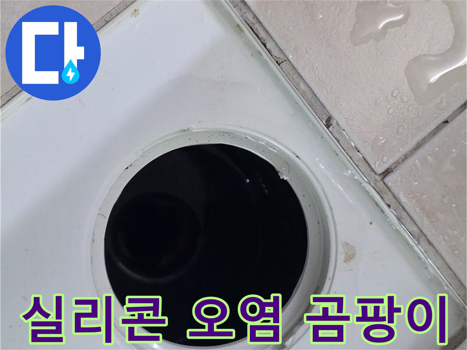 양주 백석 서광아침의빛아파트 욕실 배수구 주변 실리콘 오염 - 곰팡이 심각