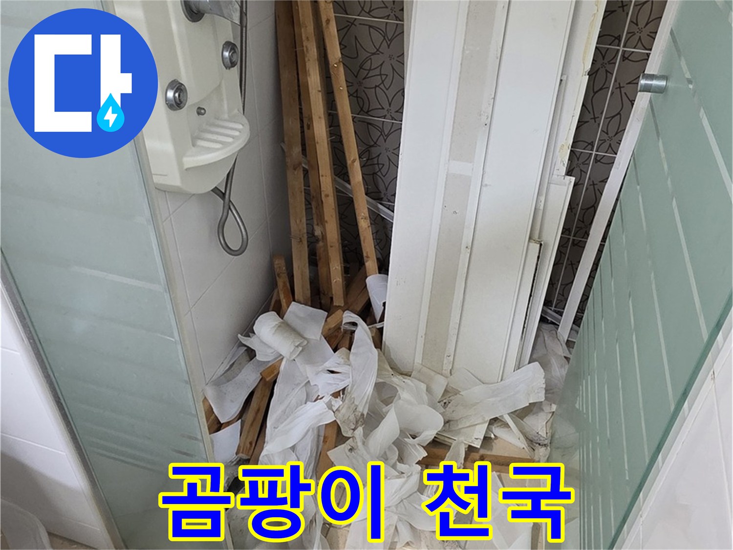 양주 백석 서광아파트 104동 욕실 - 천장 해체 후 드러난 곰팡이로 가득한 내부