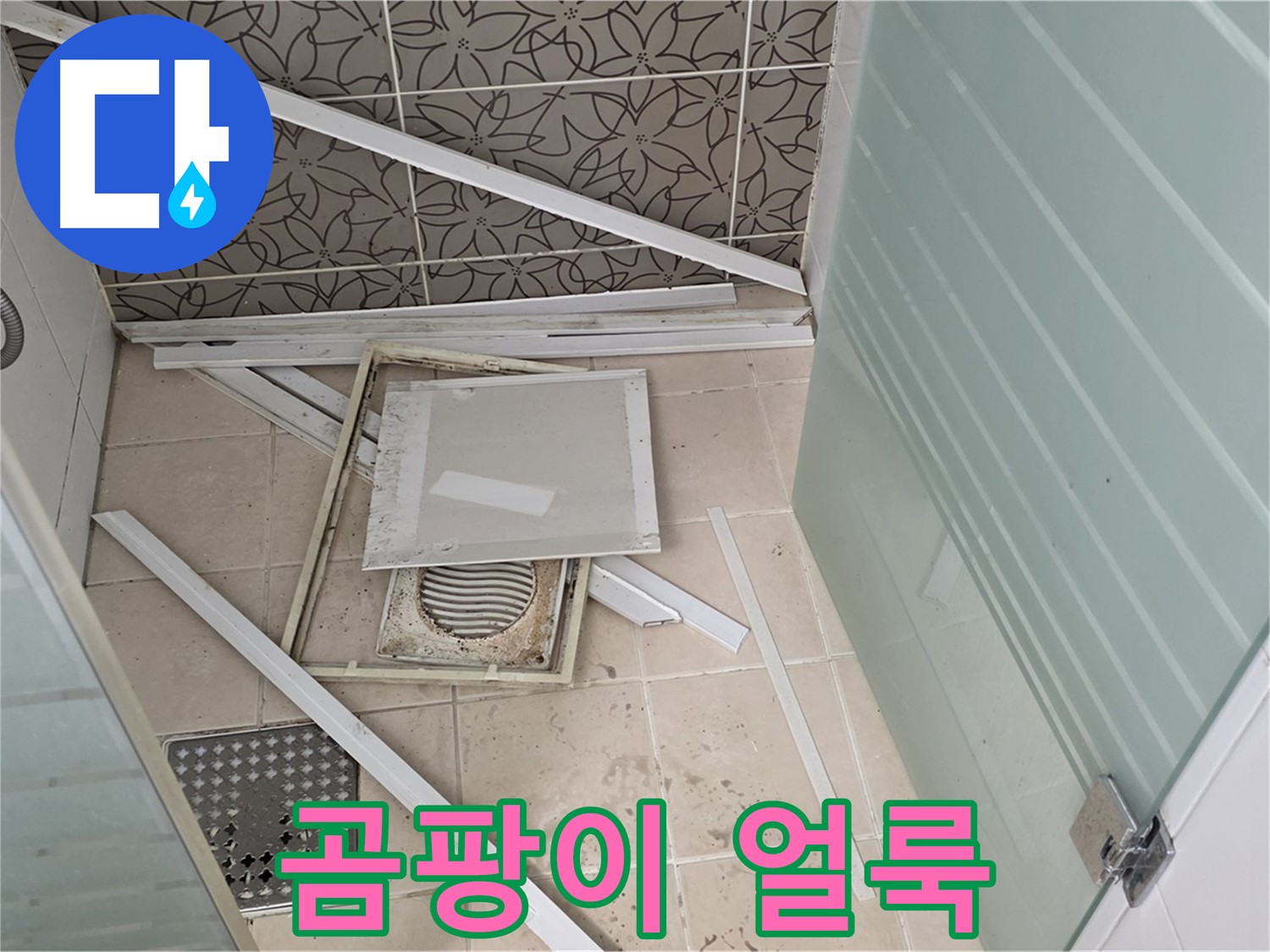 양주 백석 서광아파트 누수 - 석고보드, 곰팡이로 얼룩덜룩