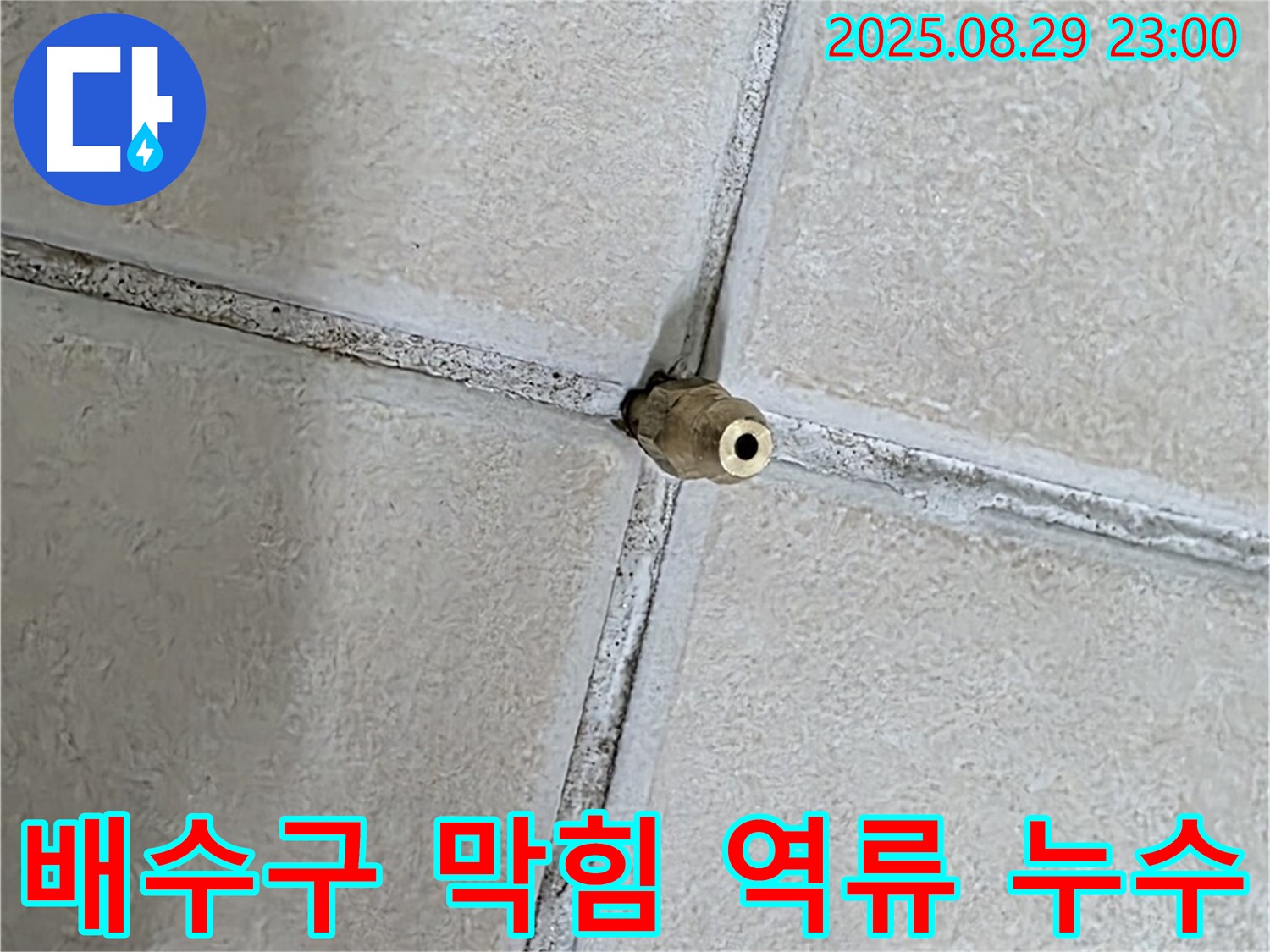 양주 백석 서광아파트 누수 - 세탁실 배수구 막힘으로 인해 역류하여 누수가 발생했습니다. - 주기적인 청소가 필요합니다.
