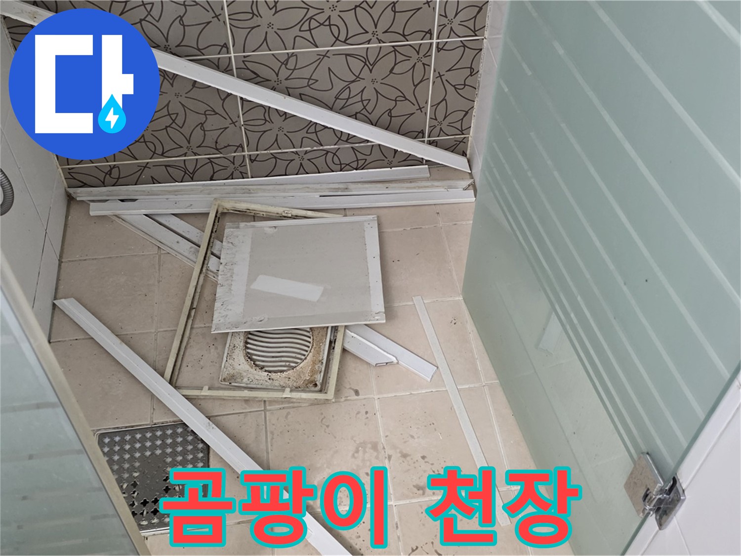 양주 백석 서광아파트 누수 - 욕실 천장재, 뜯어보니 곰팡이 천국