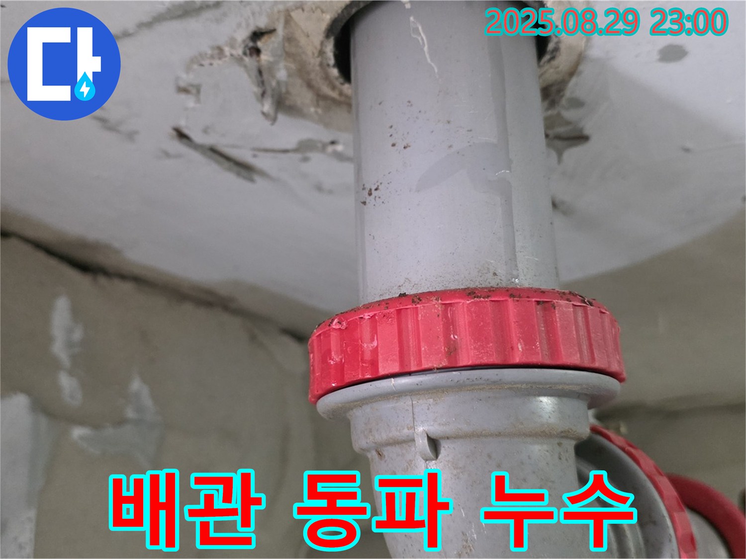 양주 백석 서광아파트 누수 - 윗집 배관 동파로 인한 하수 배관 누수