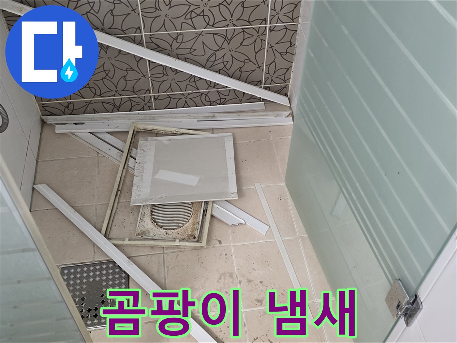 양주 백석 서광아파트 누수 - 점검구 주변, 곰팡이 냄새가 심하네요