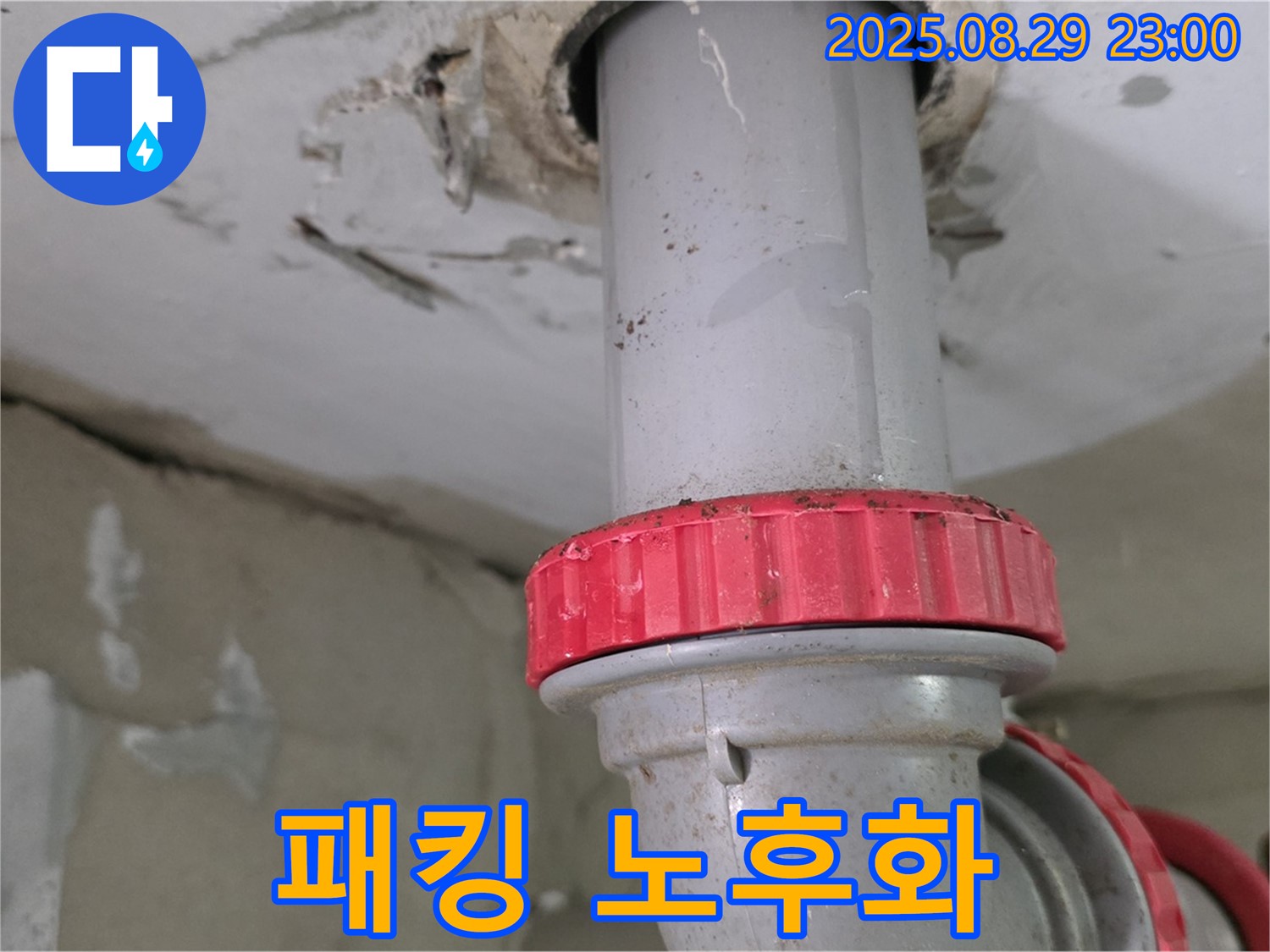 양주 백석 서광아파트 누수 - 하수 배관 연결 부위 고무 패킹 노후화로 인한 누수
