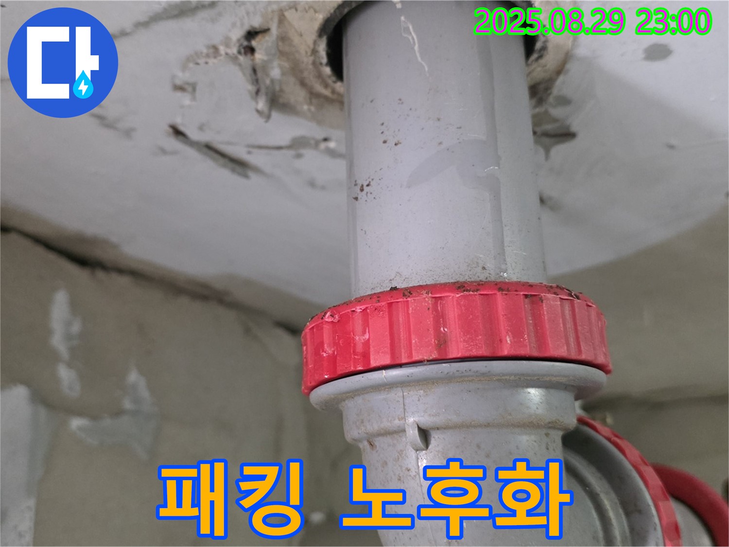 양주 백석 서광아파트 누수 - 하수 배관 연결 부위 고무 패킹 노후화로 인한 누수