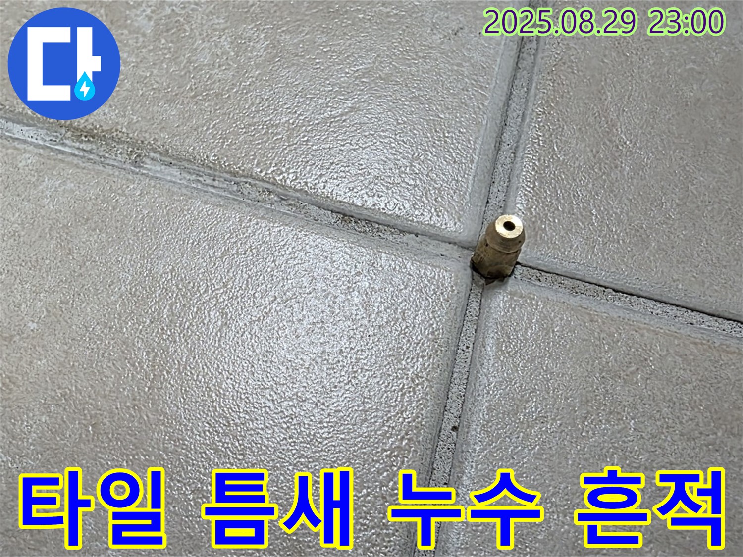 양주 백석 서광아파트 누수탐지 - 타일 틈새에서 누수 흔적을 발견하고 원인을 분석하고 있습니다. 누수 흔적은 누수의 확실한 증거입니다.