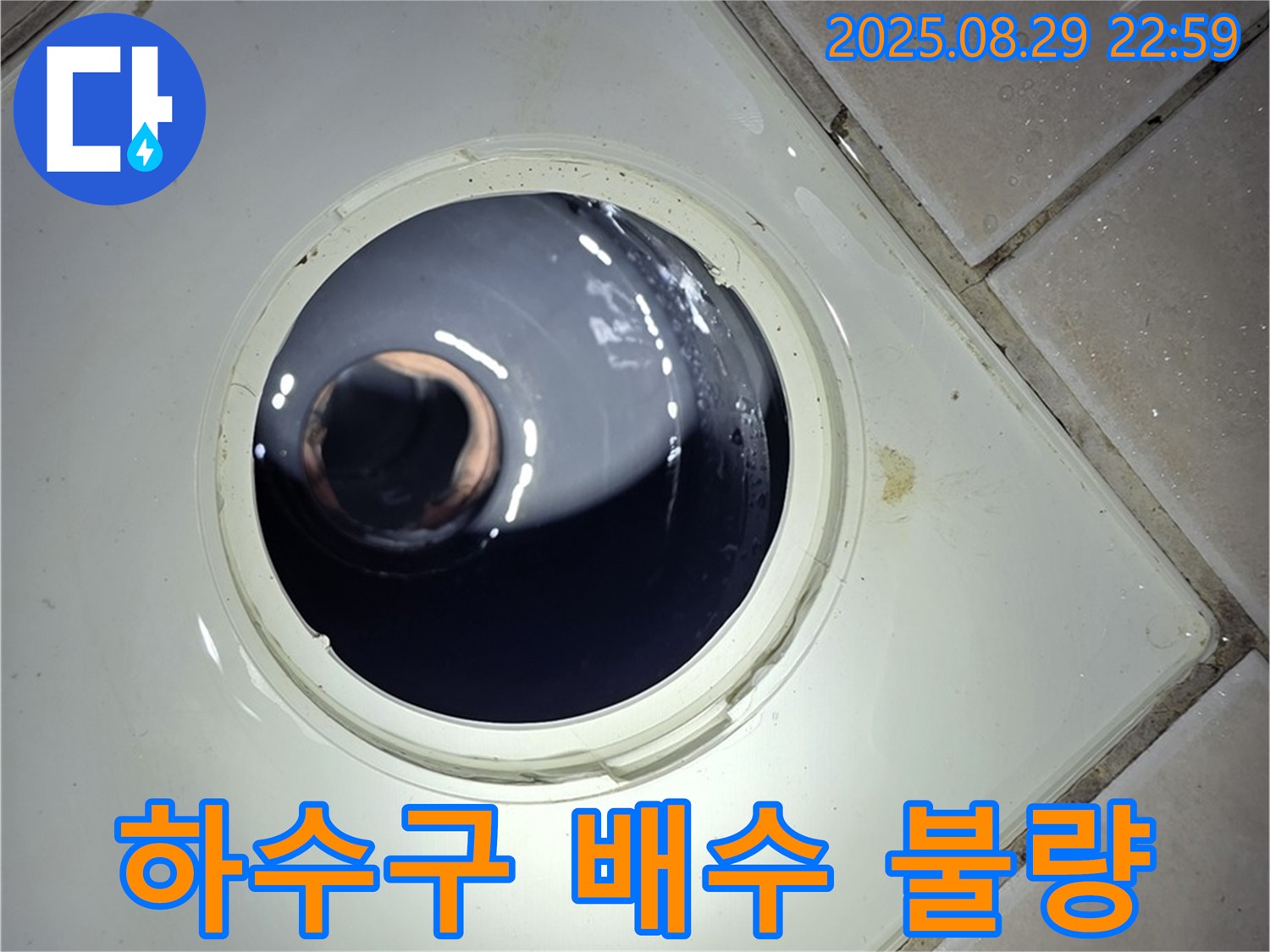양주 백석 서광아파트 욕실 누수 - 하수구 배수 불량으로 인한 물고임은 누수의 시작일 수 있습니다.