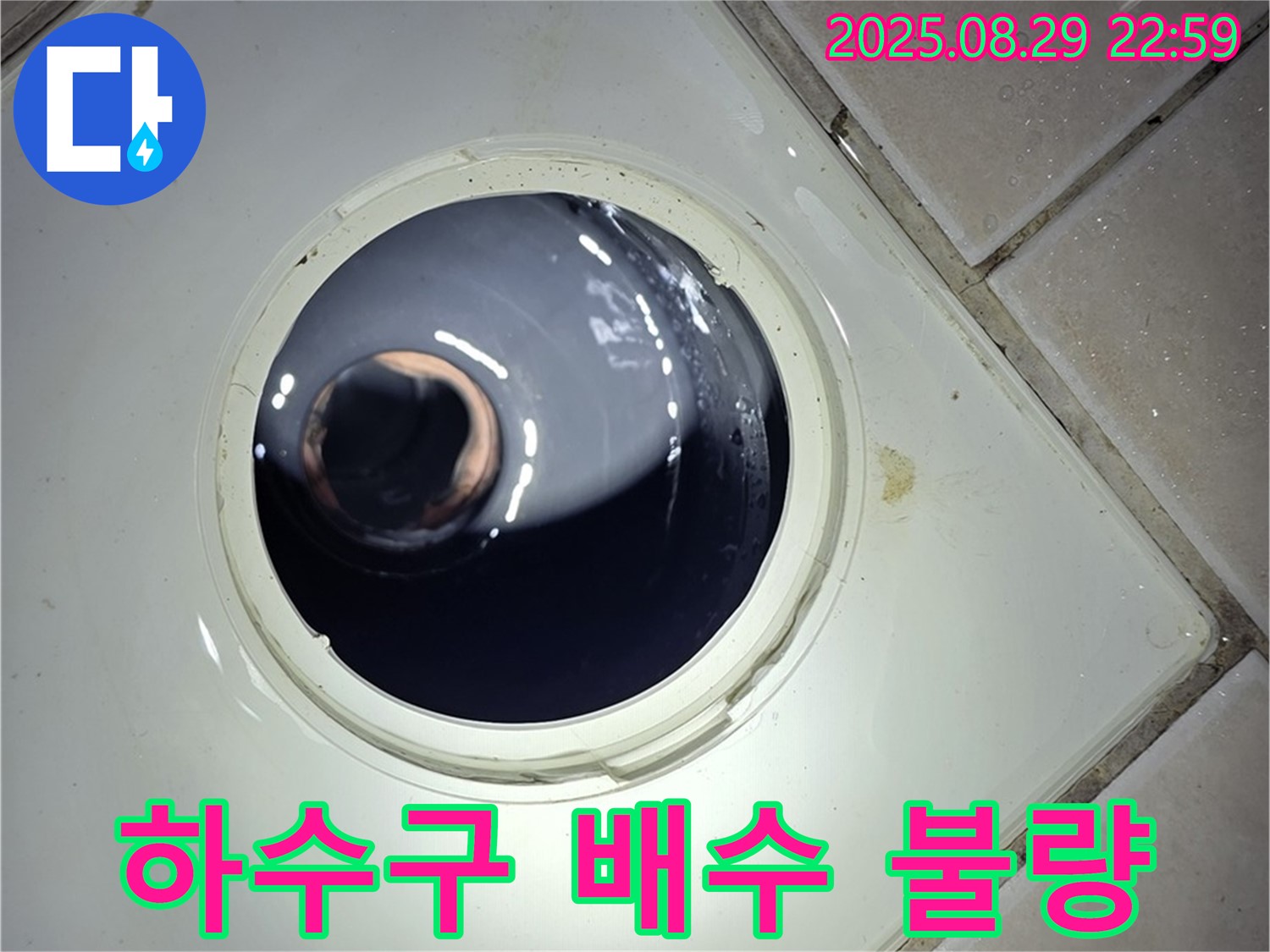 양주 백석 서광아파트 욕실 누수 - 하수구 배수 불량으로 인한 물고임은 누수의 시작일 수 있습니다.