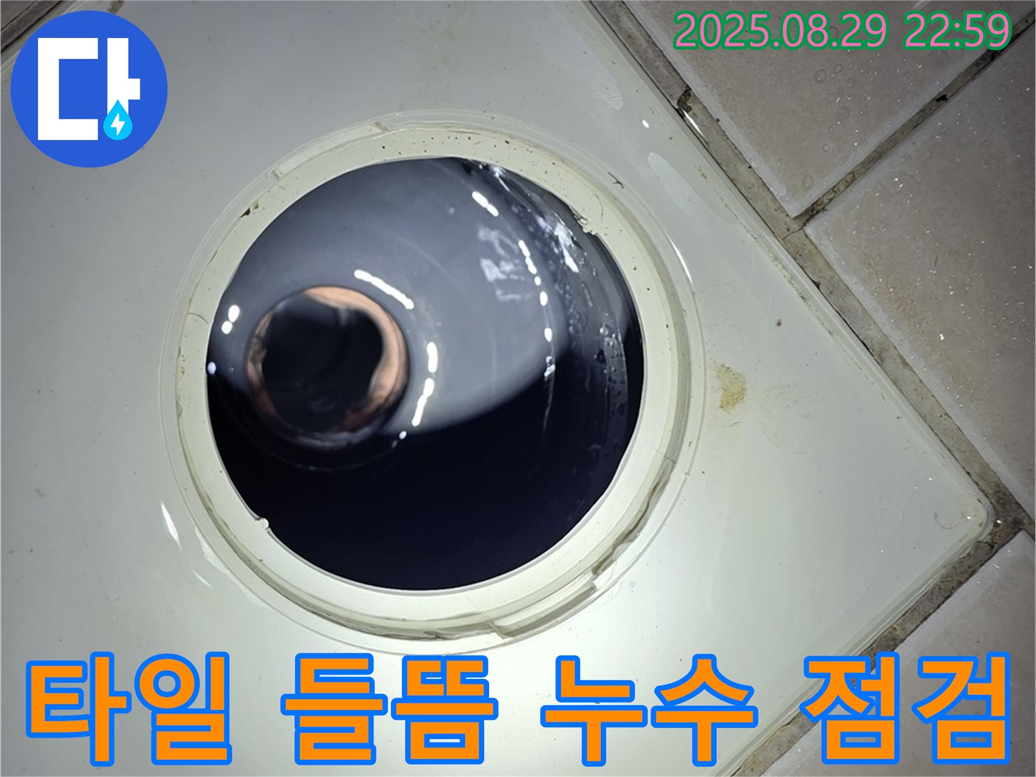 양주 백석 서광아파트 욕실 누수 - 하수구 주변 타일의 들뜸 현상을 점검하여 누수 가능성을 확인합니다.