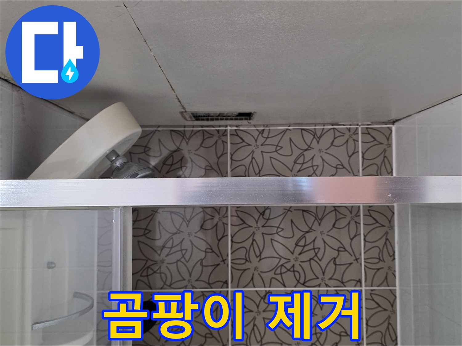 양주시 백석읍 서광아파트 천장 누수 - 곰팡이 제거 서비스 제공