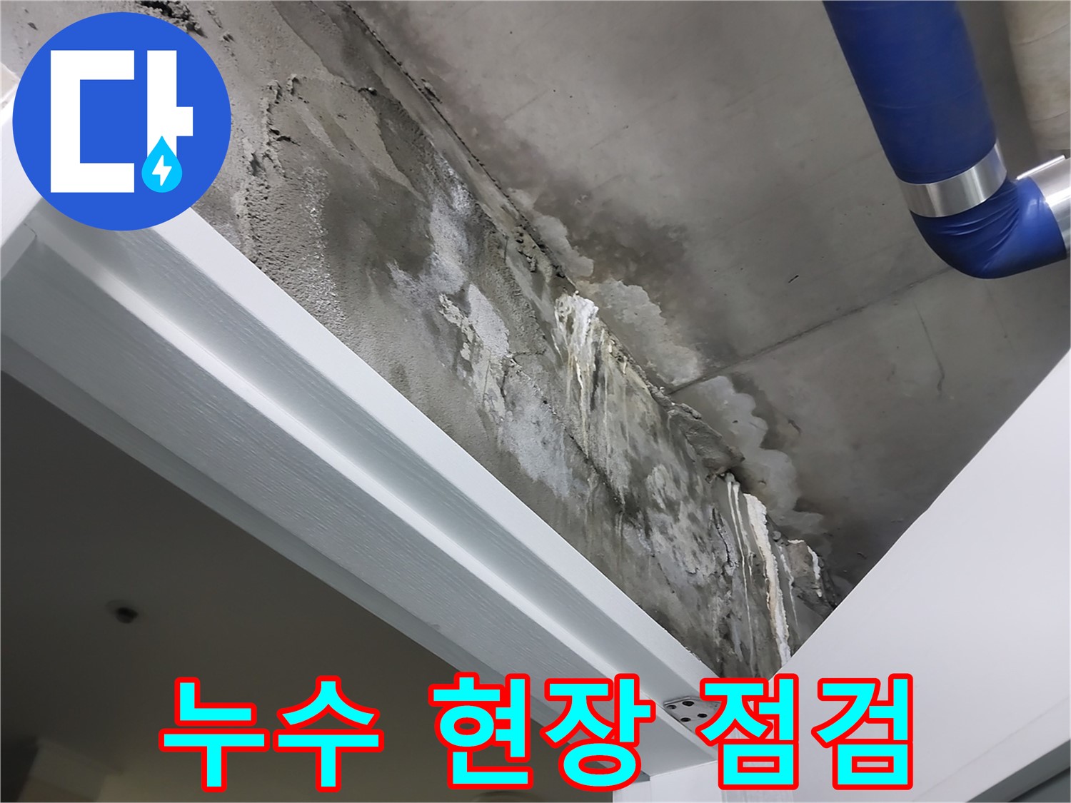 누수 현장 점검 - 천장 누수 현장을 꼼꼼하게 점검하는 모습을 보여주는 사진입니다.