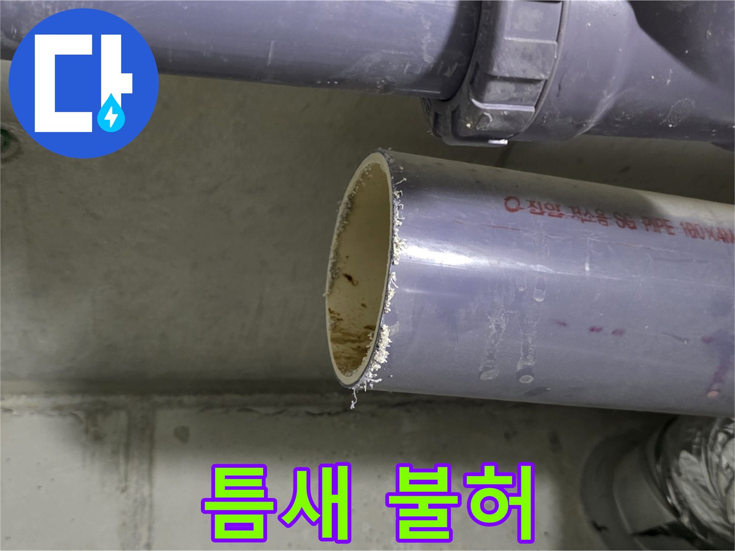 분당 누수 현장 - 배관 연결 부위를 꼼꼼하게 점검하는 전문가