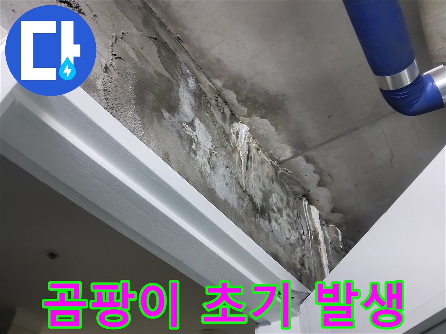 문 상단 천장 - 곰팡이 초기 발생 - 누수로 인해 천장에 곰팡이가 발생하기 시작한 초기 단계의 모습입니다.