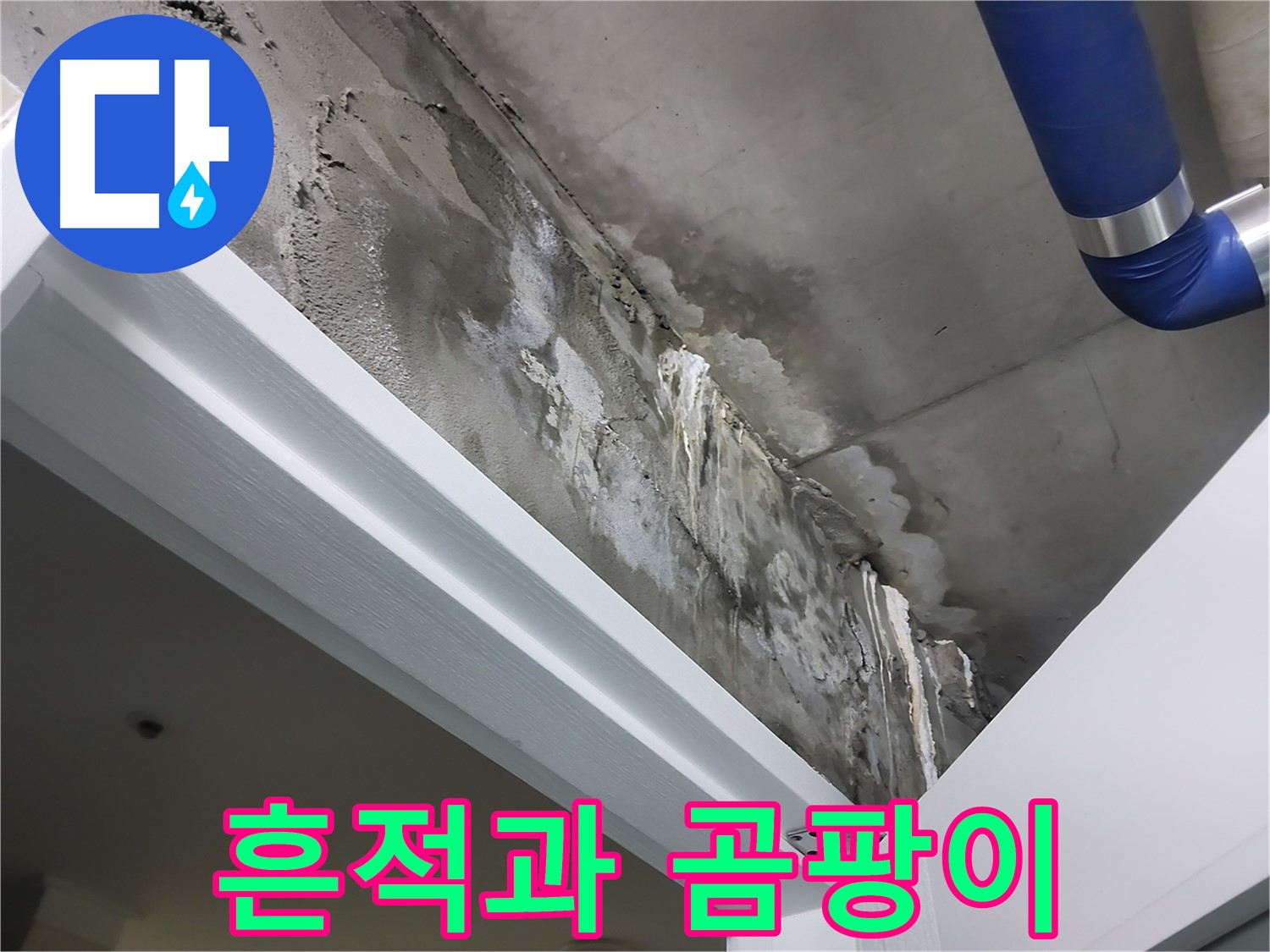 문 상단 천장 - 흔적과 곰팡이 - 누수 흔적과 함께 곰팡이가 발생한 천장의 모습입니다.