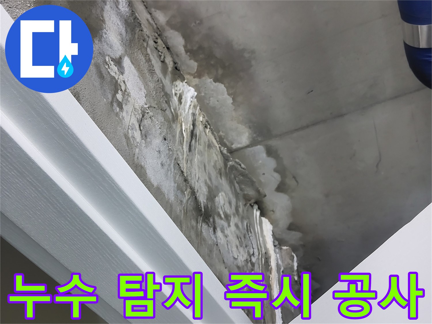 분당 운중동 누수 - 누수 탐지 후 즉시 공사 진행