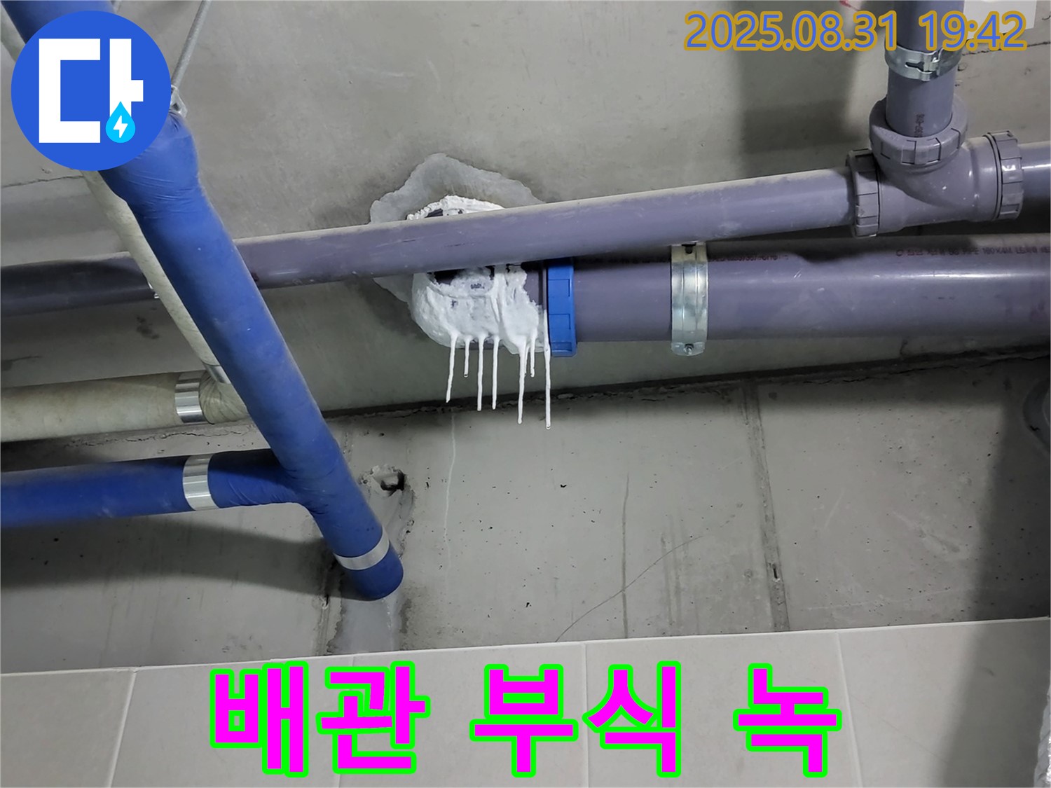 분당 운중동 산운로 주택 욕실 누수 - 배관 연결 부위 부식 및 녹 발생 확인