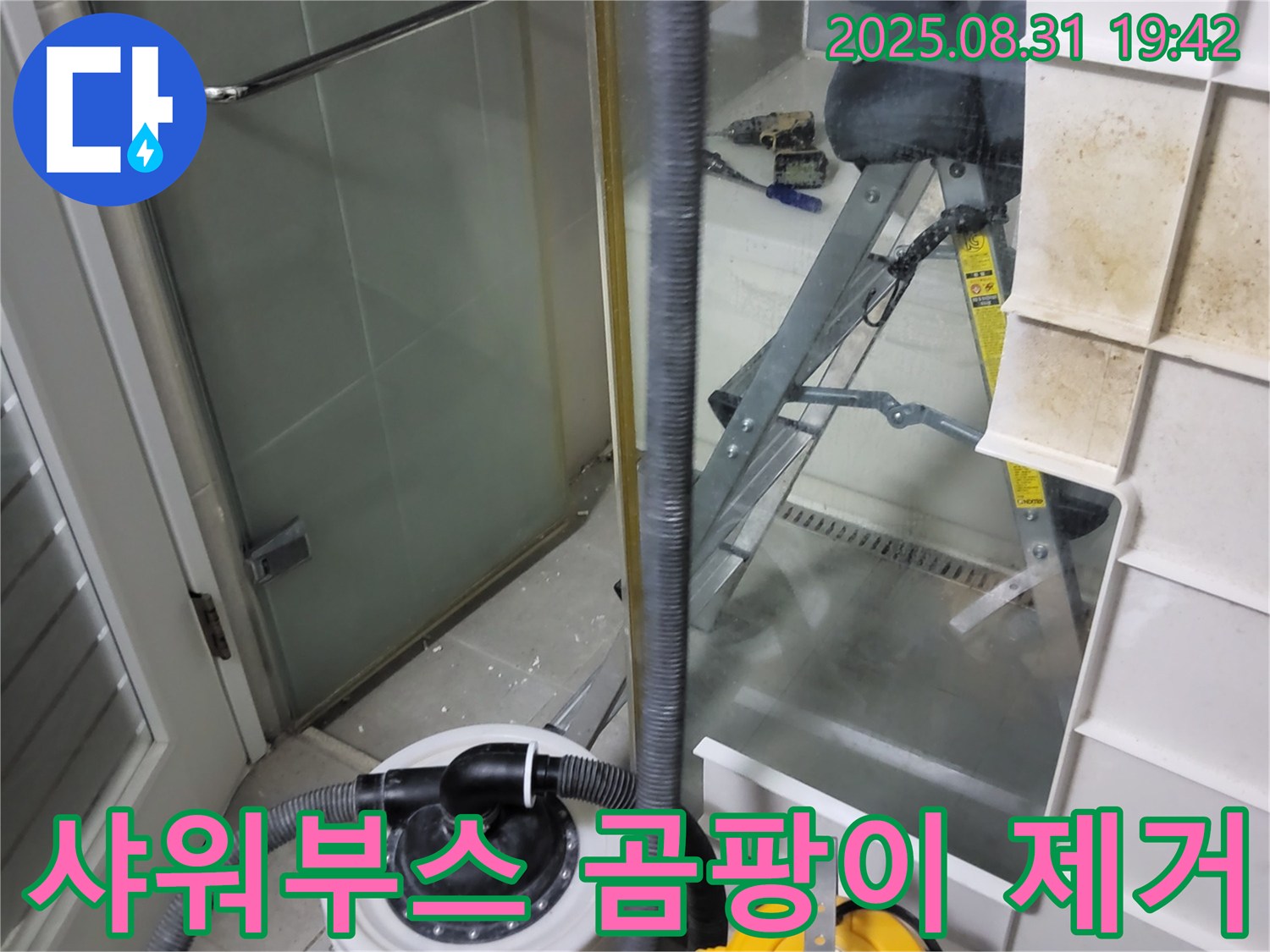 분당 운중동 산운마을 6단지 - 샤워부스 곰팡이 제거 및 습기 관리 중요