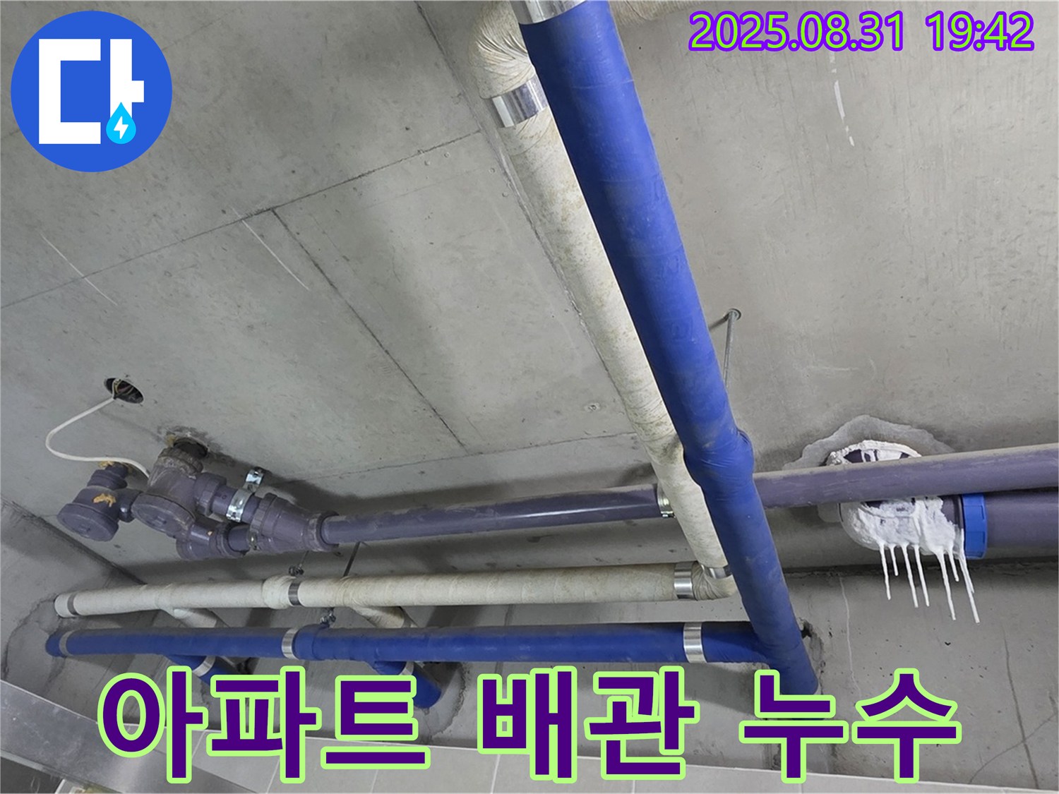 분당 운중동 산운마을 6단지 아파트 배관 누수 현장 - 누수 탐지부터 완벽한 시공까지 책임집니다.
