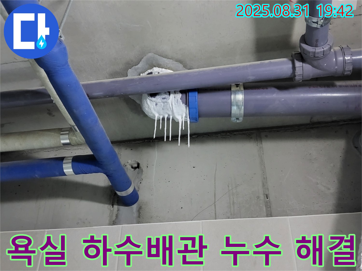 분당 운중동 산운마을 6단지 아파트 욕실 하수배관 누수 - 완벽 해결 후 고객 만족