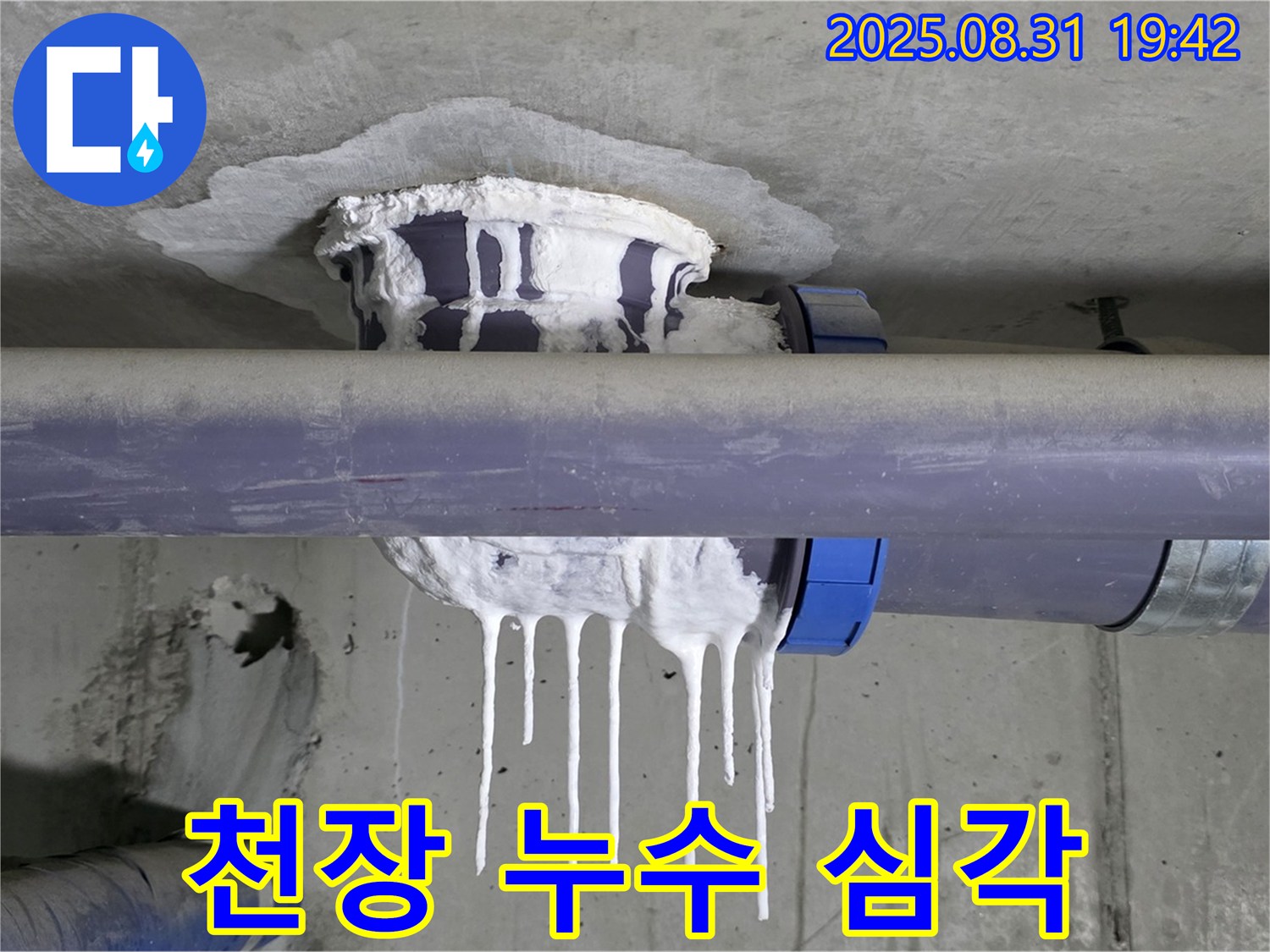 분당 운중동 산운마을 6단지 천장 누수 - 천장에 석회수 고드름이 맺힌 심각한 누수