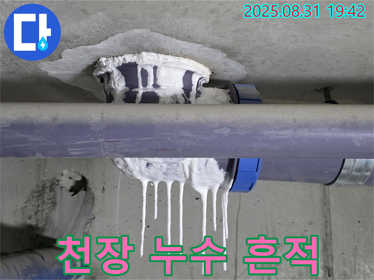 분당 운중동 산운마을 누수 - 천장에 넓게 퍼진 석회수 자국 - 완벽 보수, 재발 방지 약속