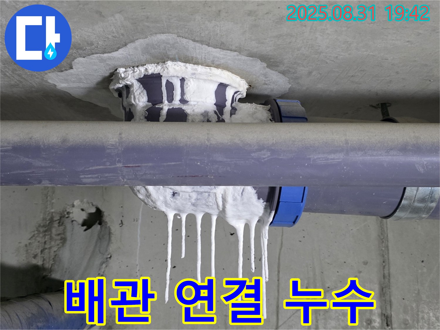 분당 운중동 산운마을 배관 누수 - 배관 연결 부위에서 누수가 진행 중 - 꼼꼼한 점검, 확실한 해결 약속