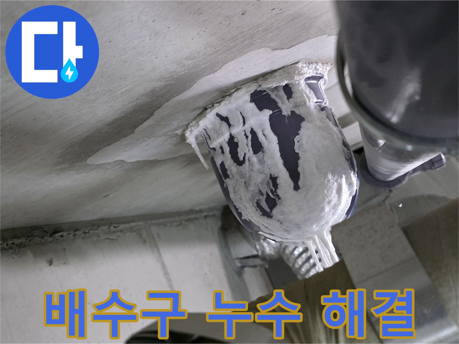 분당 운중동 산운마을 - 배수구 주변 누수, 책임지고 해결 완료