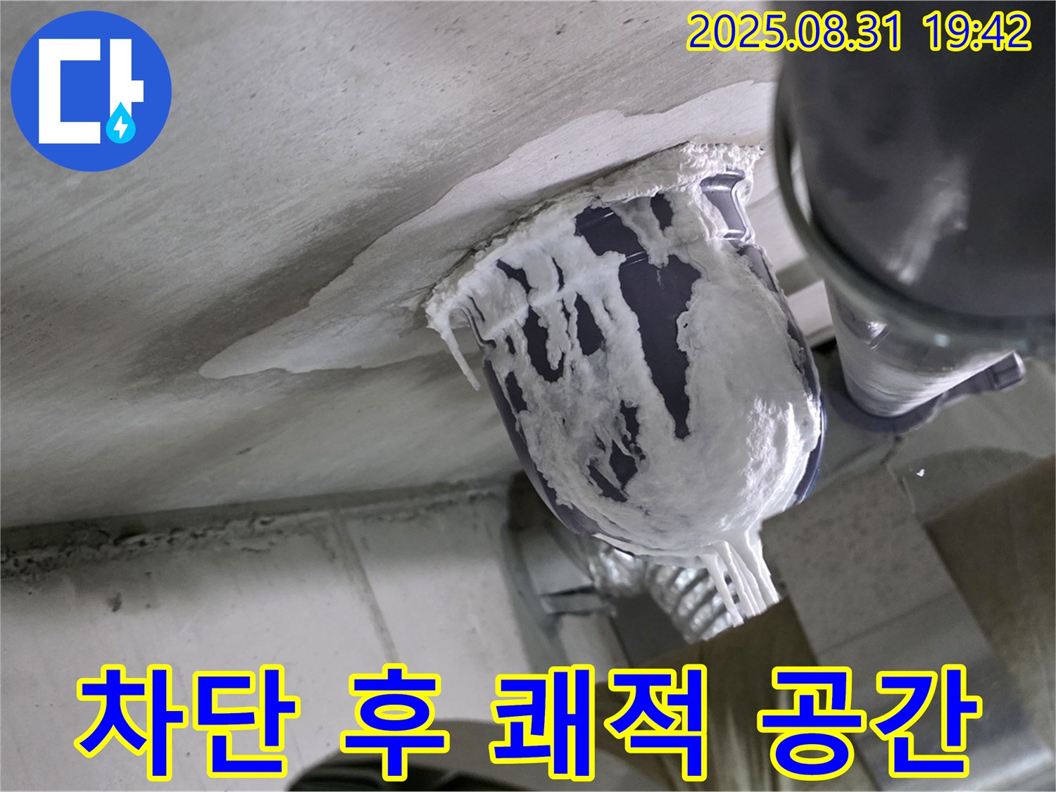 분당 운중동 산운마을 아파트 누수 - 누수를 완벽하게 차단하여 쾌적한 공간으로 되돌렸습니다.