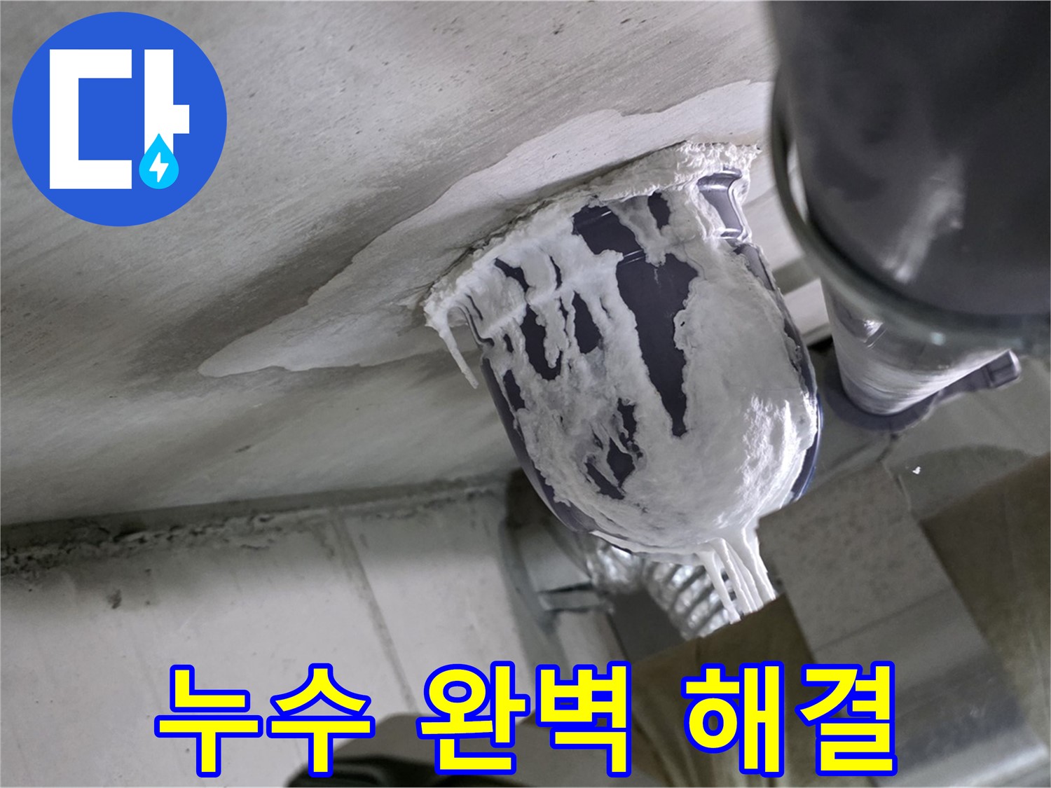 분당 운중동 산운마을 - 완벽한 누수 해결로 고객 만족 극대화 완료