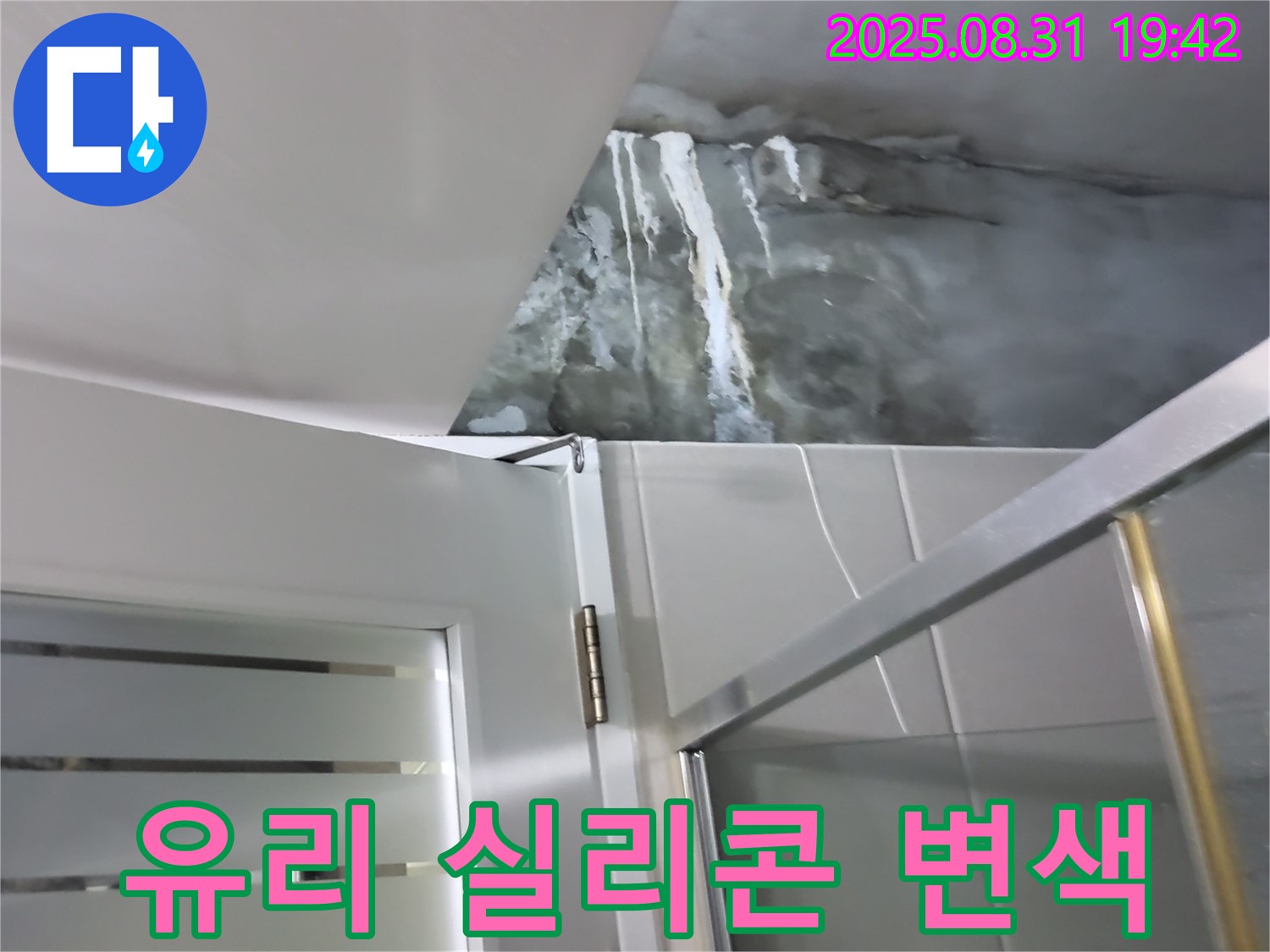 분당 운중동 - 샤워부스 유리 고정 실리콘 변색 - 곰팡이 발생 및 실리콘 재시공!
