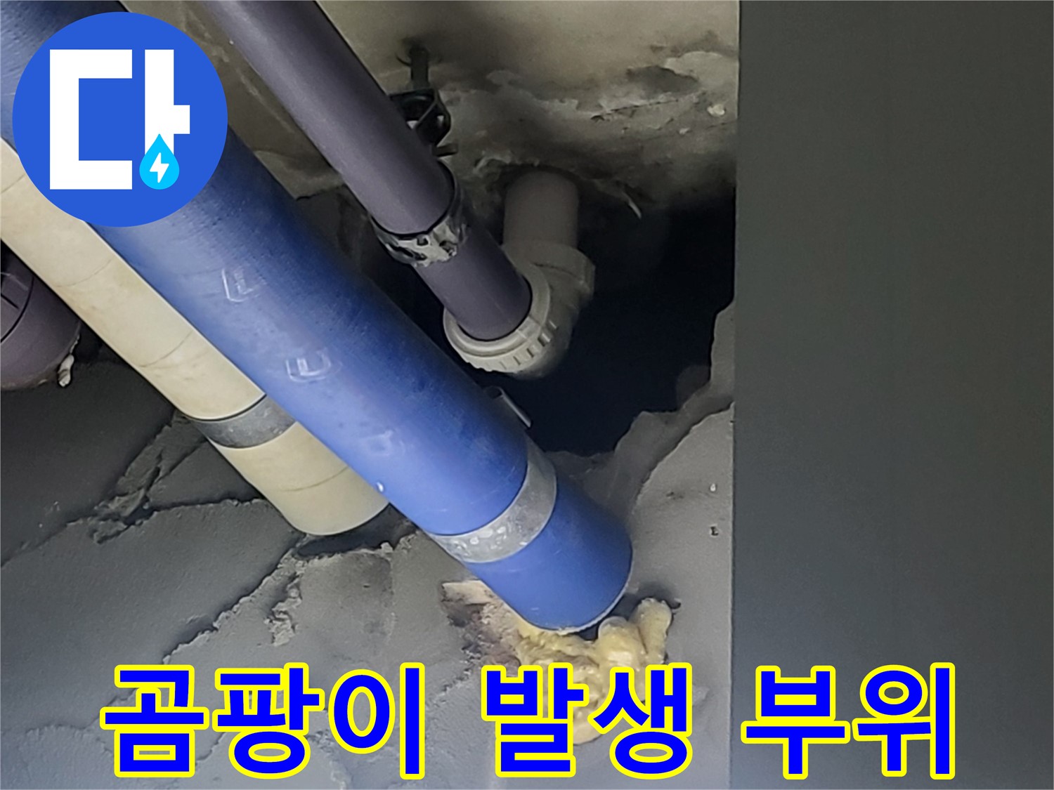 분당구 운중동 산운마을 아파트 누수 - 누수 부위 주변에 곰팡이가 발생한 모습입니다 - 건강에 해로울 수 있습니다.